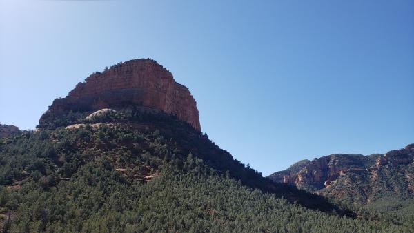 Recalcitrant Attachment